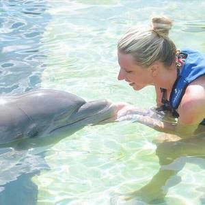 Meet your Posher, Alysse